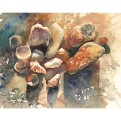 Sea Stones and Shells by Tatiana Ilitzky