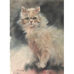 Cat 25x34 watercolor.