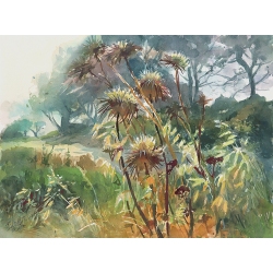  Path in the forest 41x31