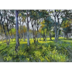 Mustard fields 40x30 soft...