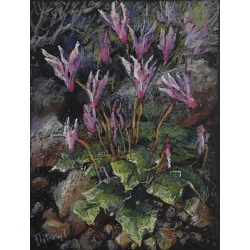 Oil Pastel. cyclamens among...