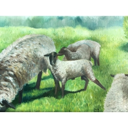 THE SHEEP FIELD by Onute Juskiene 