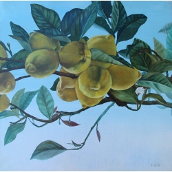 Lemons by Onute Juskiene
